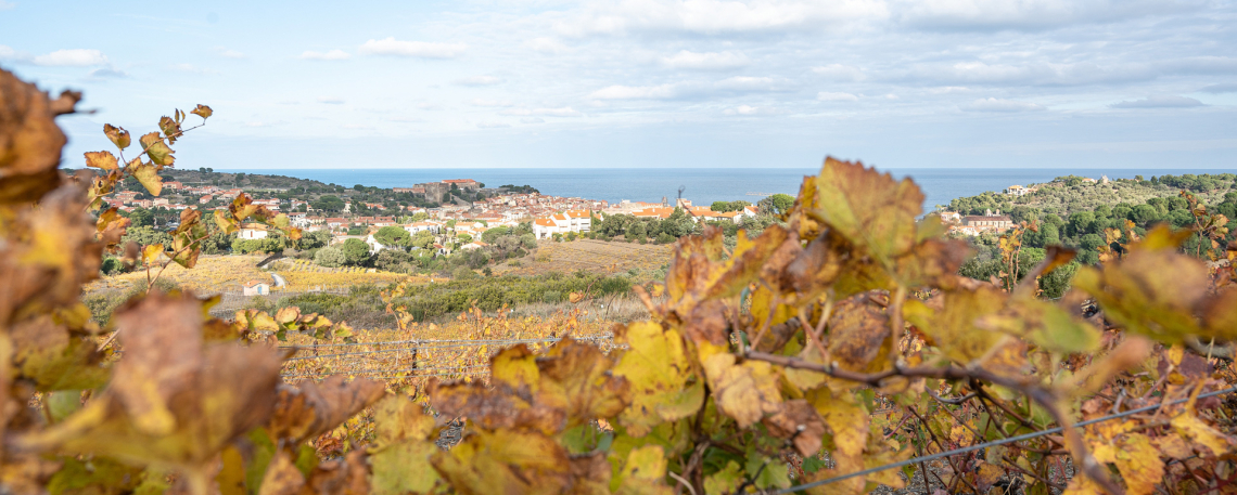 Côte vermeille © G.Payen / CRTL Occitanie