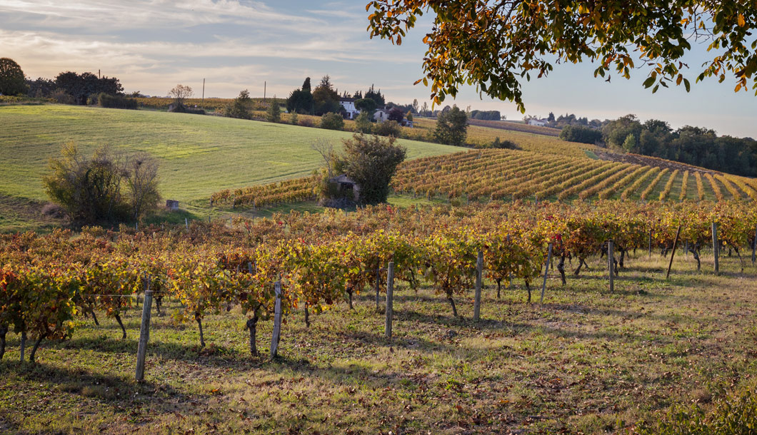 Activités Tourisme en Occitanie