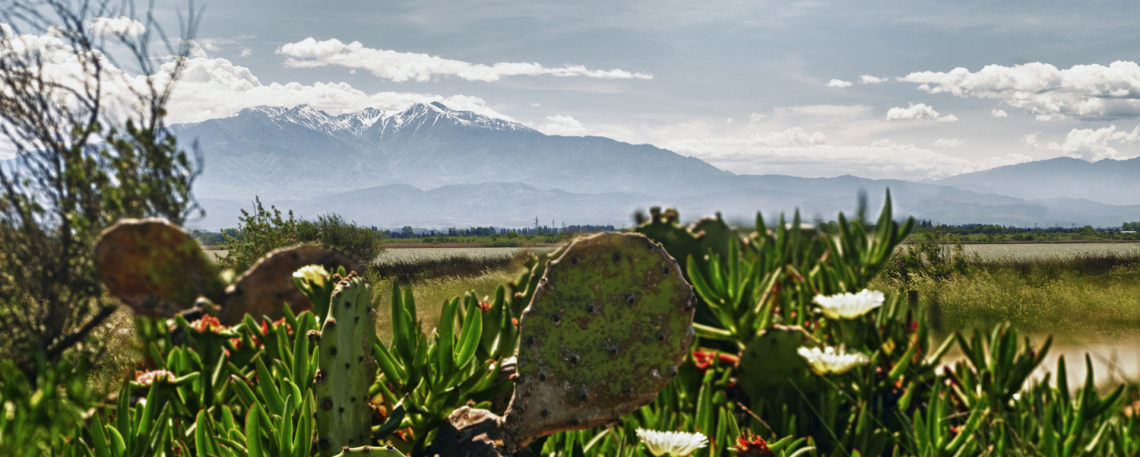 Massif du Canigó © D.Viet