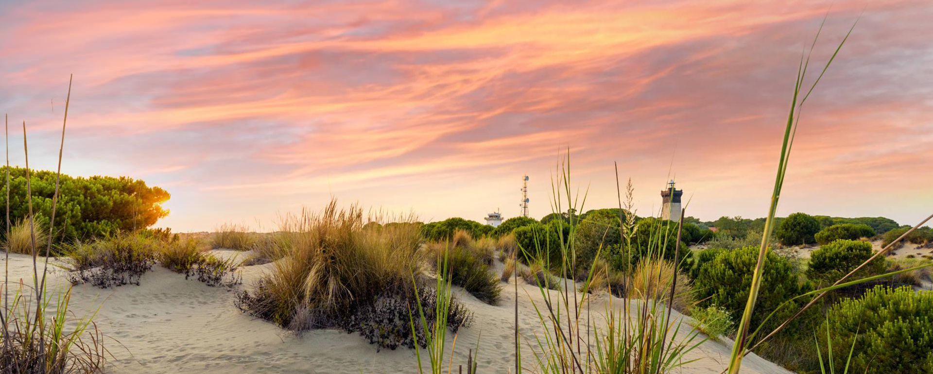 Plage Espiguette