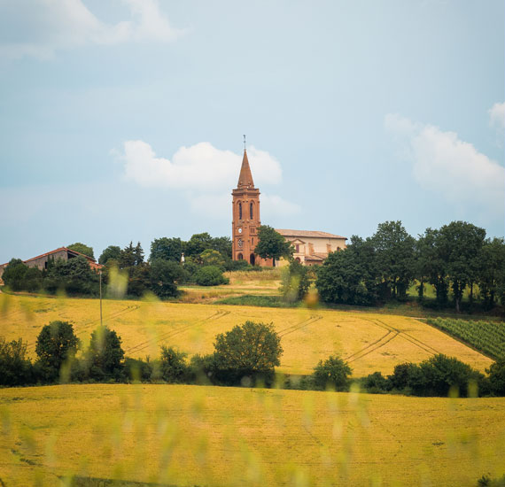 Fronton et son vignoble Sud-Ouest