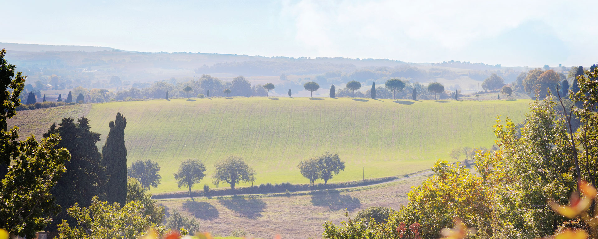 Vignobles de Gaillac