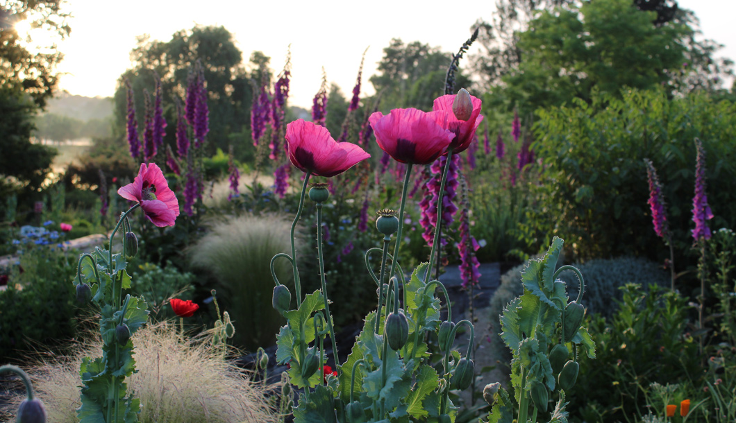 Jardins de Coursiana © Jardins de Coursiana