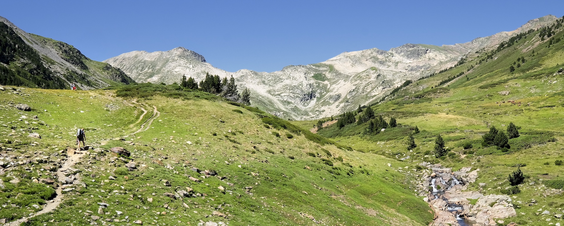 Randonnée dans le PNR des Pyrénées Catalanes © Paul Delgado